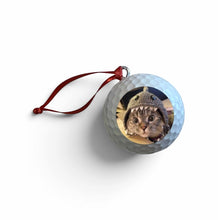 Load image into Gallery viewer, Jingle Balls - Authentic Golf Ball Hanging Decorations - 3 pack
